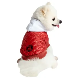 freedog-fizz-dog-jacket