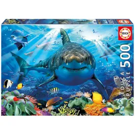 educa-퍼즐-500-백상아리