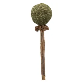 trixie-matatabi-catnip-lollipop-11-cm
