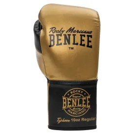 benlee-typhoon-lederboxhandschuhe