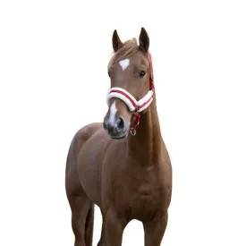 norton-equestrian-cabrestro-confort