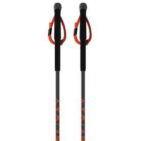 one-way-tr-carbon-vario-poles