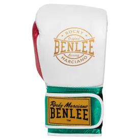 benlee-lederboxhandschuhe