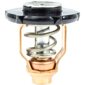 sierra-yamaha-thermostat-6fp-12411-00-00