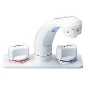 whale-elegance-vandhane