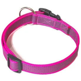 julius-k-9-collar-per-a-gos