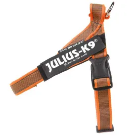 julius-k-9-idc-norwegian-狗背带