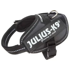 julius-k-9-idc--power-狗背带