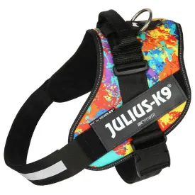 julius-k-9-idc--power-狗背带