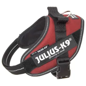 julius-k-9-idc--power-狗背带