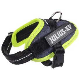 julius-k-9-idc--power-狗背带