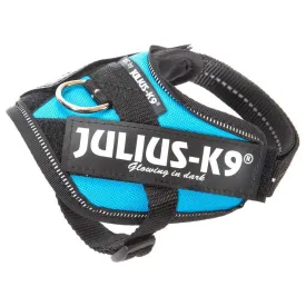julius-k-9-idc--power-狗背带