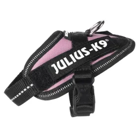 julius-k-9-idc--power-狗背带