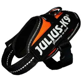 julius-k-9-idc--power-狗背带
