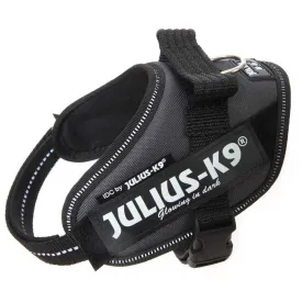 julius-k-9-idc--power-mini-狗背带