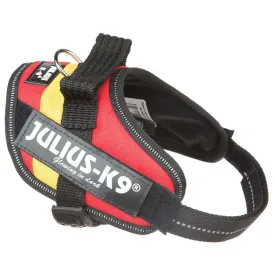 julius-k-9-idc--power-mini-狗背带