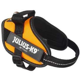 julius-k-9-idc--power-mini-狗背带