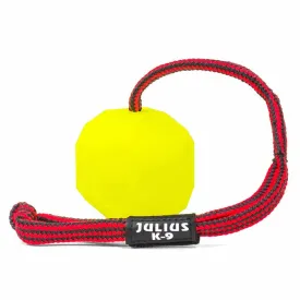 julius-k-9-带荧光绳的球