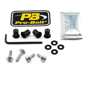 pro-bolt-scr-4-sk405s-windshield-screws