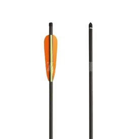 zasdar-seta-22