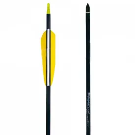 zasdar-flecha-de-carbono