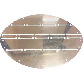 goldenship-placa-de-proteccion-del-arco