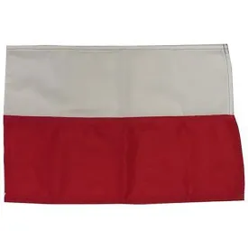 goldenship-cantabrias-flag