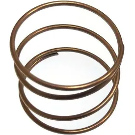 goldenship-rod-holder-spring