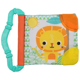 bright-starts-teethe---readtoy