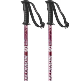 salomon-bastoncini-junior-anodized