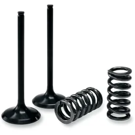 prox-28.sis6351-2-springs-einlassventil