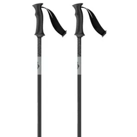 scott-element-junior-poles