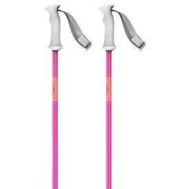 scott-element-junior-poles