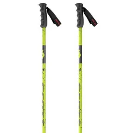 scott-issue-srs-poles