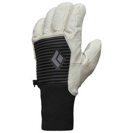 Black diamond Session Gloves