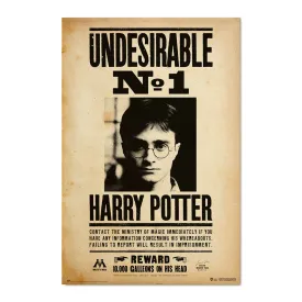 harry-potter-ongewenste-n1-poster