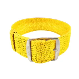 bobroff-bfs007-riem