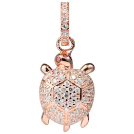 lancaster-collar-jlapenturtle2