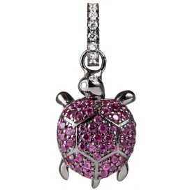 lancaster-colar-jlapenturtle5