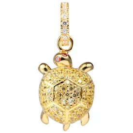 lancaster-collar-jlapenturtle6