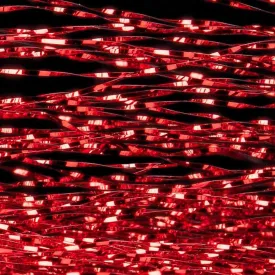 baetis-flashabou-accent