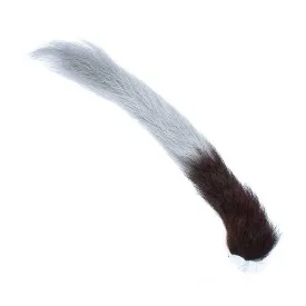 baetis-kip-tail