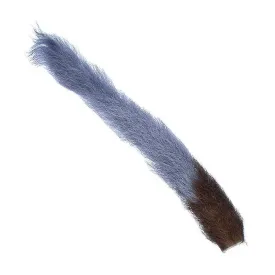 baetis-kip-hale