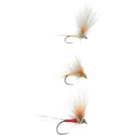 baetis-mosca-quevedo