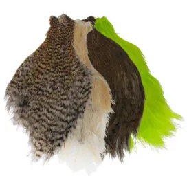 baetis-pescoco-streamer-rooster