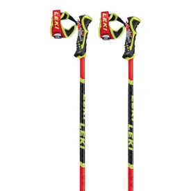 leki-alpino-wcr-tbs-sl-3d-poles