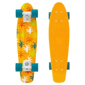 miller-bryce-pennyboard