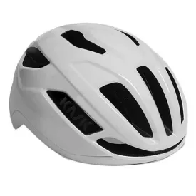 kask-casc-sintesi-wg11