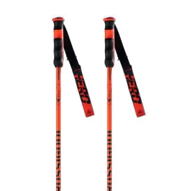 rossignol-hero-carbon-poles