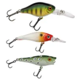 berkley-pulse-perch-minnow
